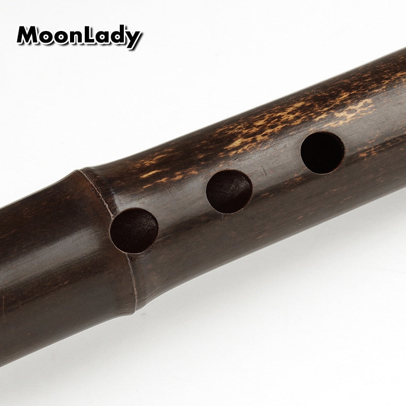Xiao instrument