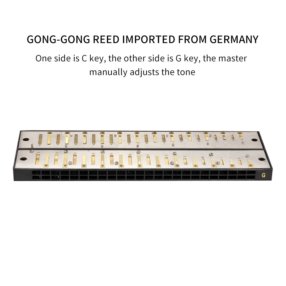 Best Diatonic Harmonica