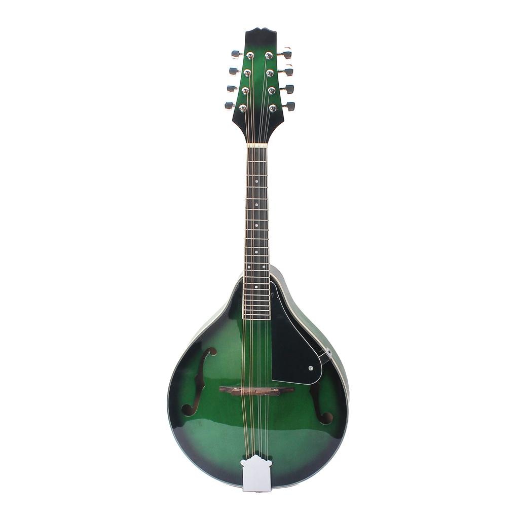 8-String Mandolin Instrument