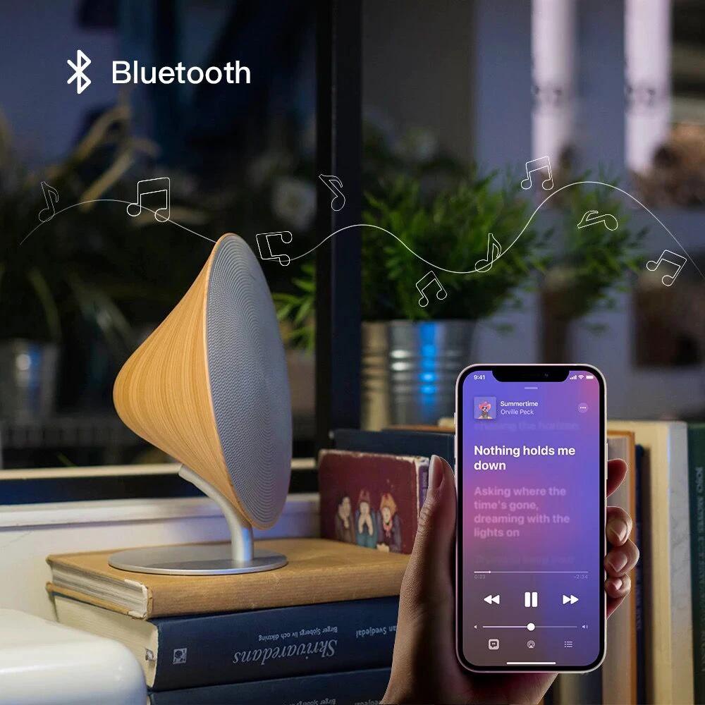 Retro Bluetooth Speaker