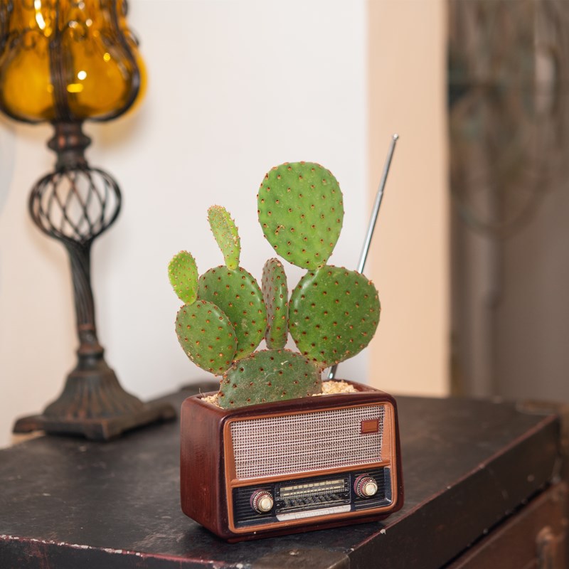 Vintage Flower Pot
