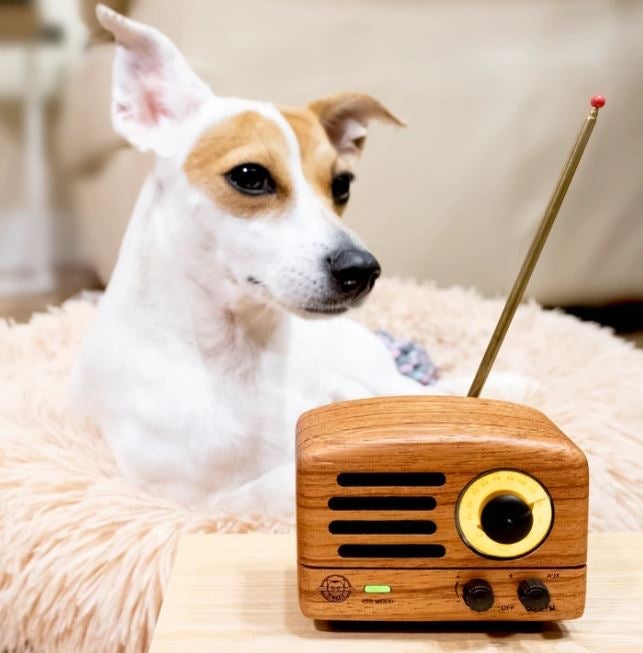  Gifts for Music and Retro Radio Lovers - Mini Speakers and More | Shop Now