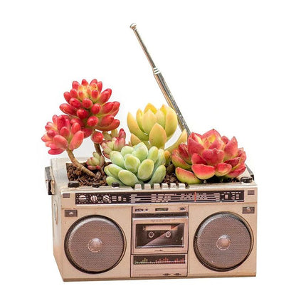 Big River Hardware Sedum Planter Retro Radio Style