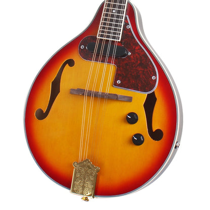 Electric Rosewood Fingerboard Mandolin