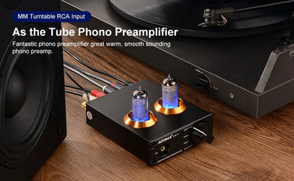 Big River Hardware High-Fidelity Phono Preamp for Turntables with Crystal Clear Sound and Low Distortion