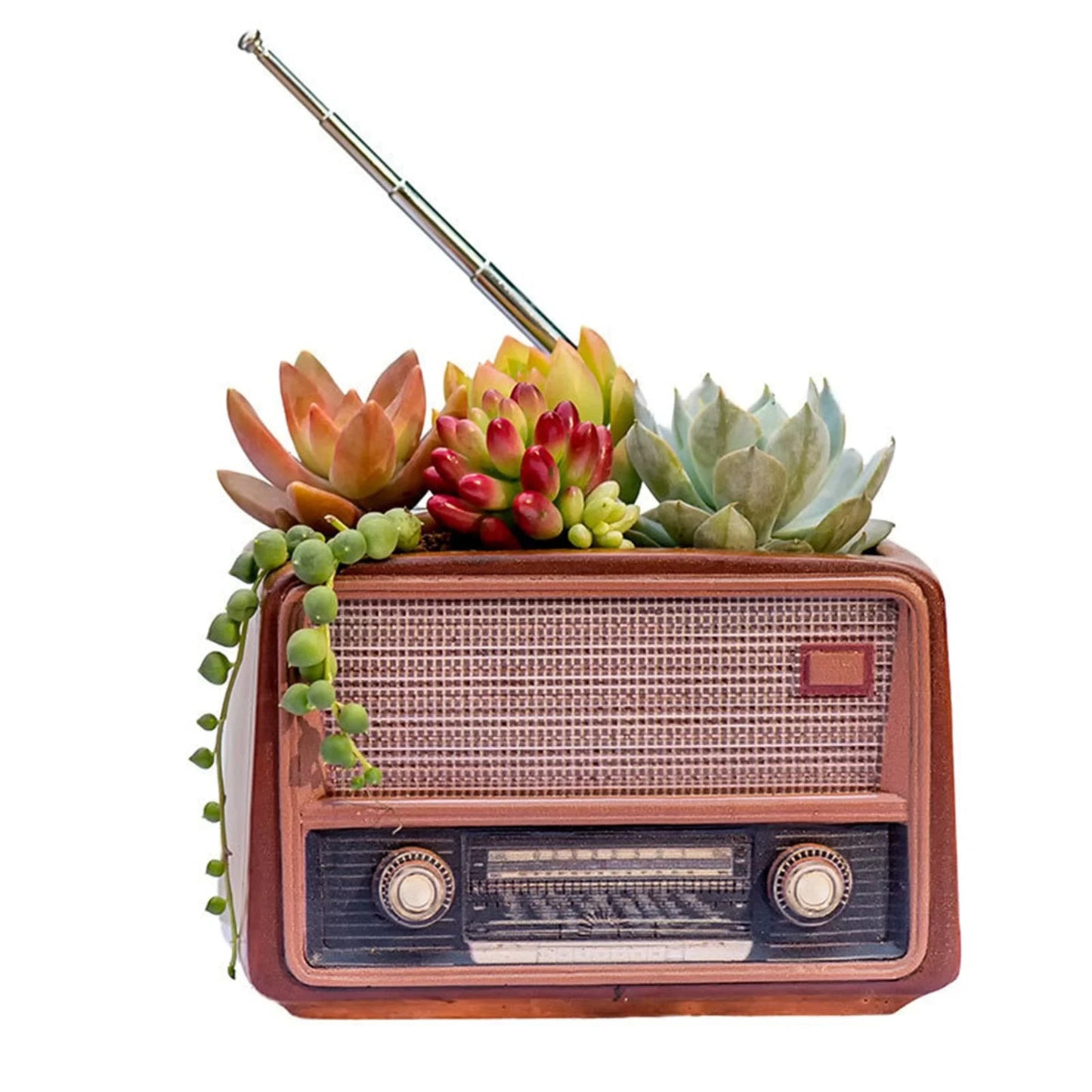 Big River Hardware Sedum Planter Retro Radio Style