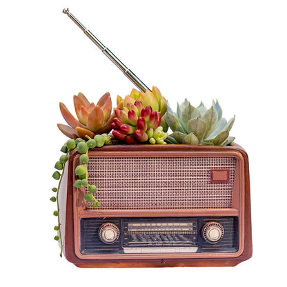 Big River Hardware Sedum Planter Retro Radio Style