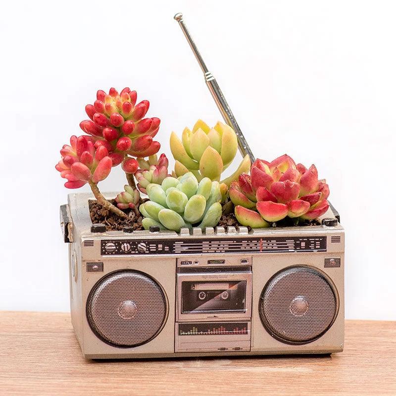 Big River Hardware Sedum Planter Retro Radio Style