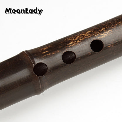 Xiao instrument