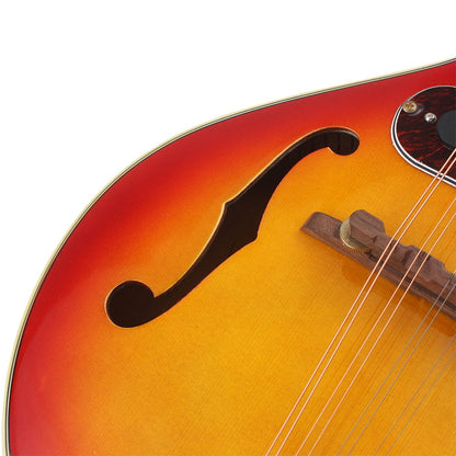 Electric Rosewood Fingerboard Mandolin