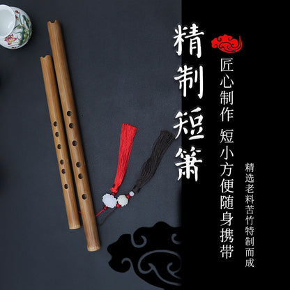 Xiao instrument