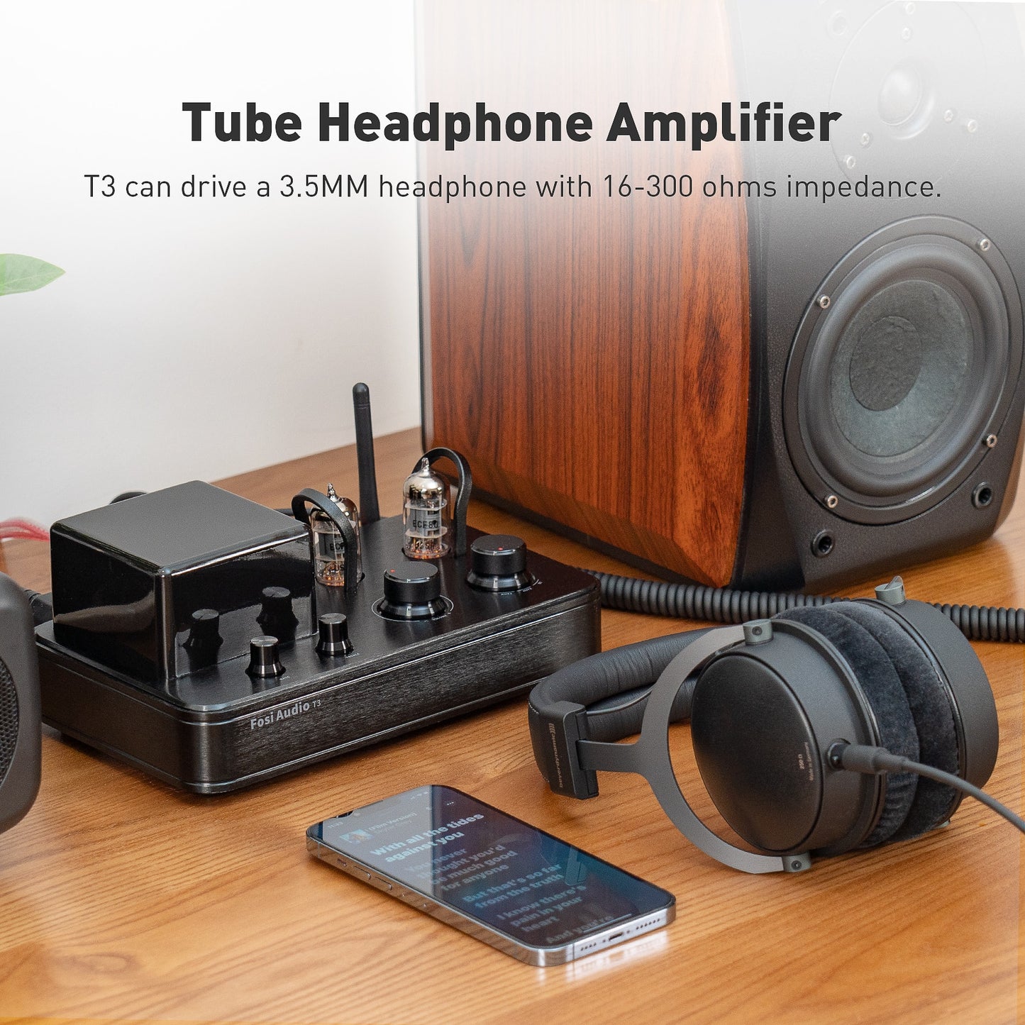 Tube Headphone Amp