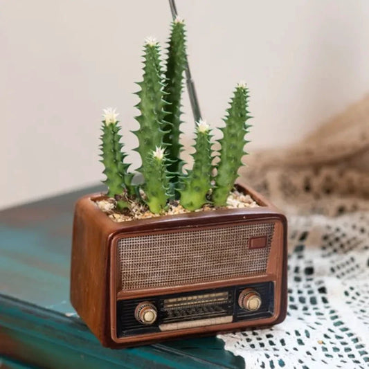 radio-shaped-resin-planter.jpg