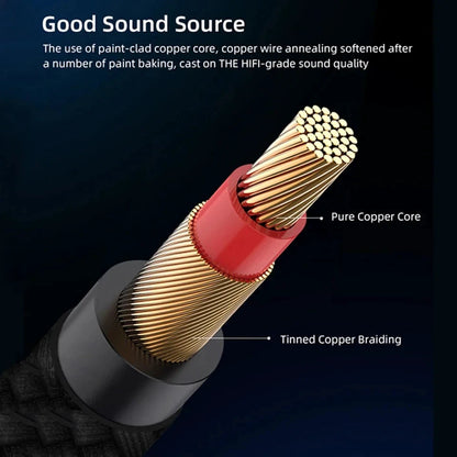 Iphone Aux Adapter for Car, Radio or Amplifier