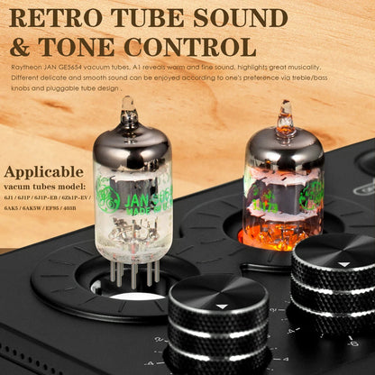Tube Phono Preamplifier For Turntable