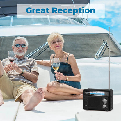 Big River Hardware Retro FM/AM Transistor Radio Companion