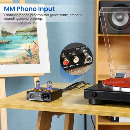 Big River Hardware High-Fidelity RIAA Compliant Phono Preamplifier