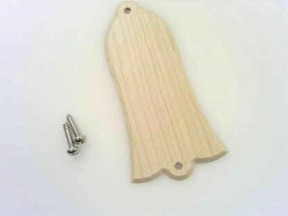 Custom Truss Rod Cover