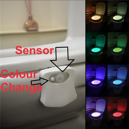 led toilet light