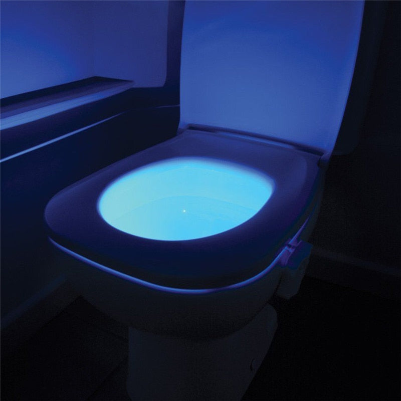 led toilet light