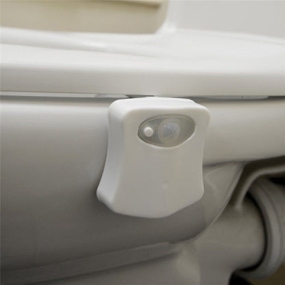 led toilet light