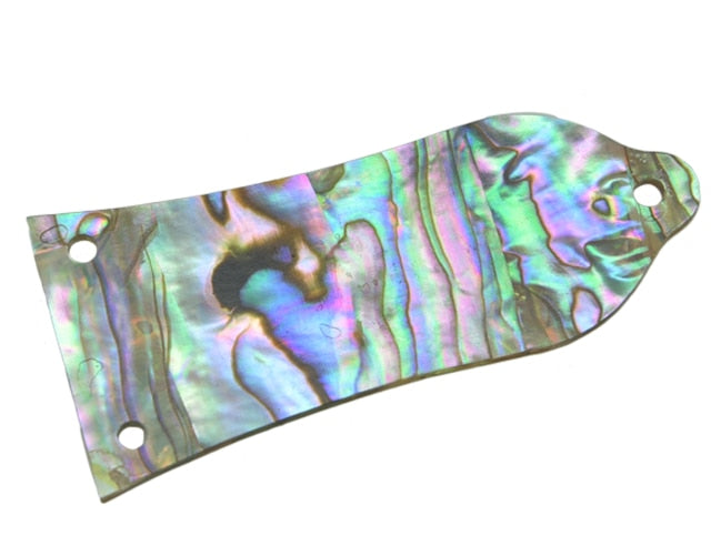 Truss Rod Cover 